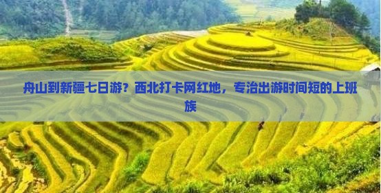 舟山到新疆七日游？西北打卡网红地，专治出游时间短的上班族