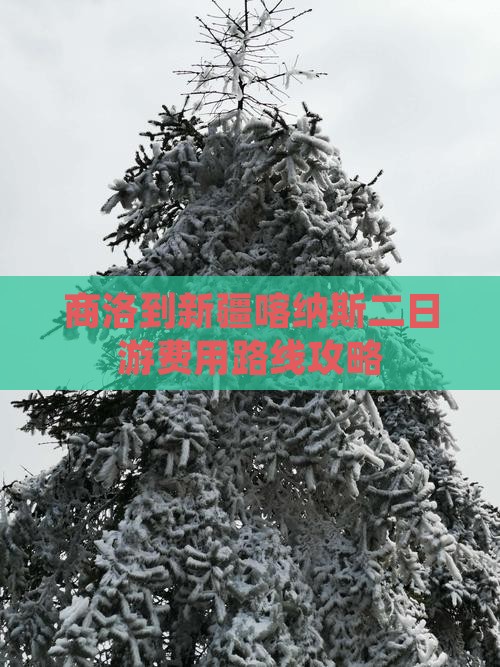 商洛到新疆喀纳斯二日游费用路线攻略