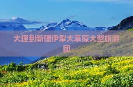 大理到新疆伊犁大草原大型旅游团