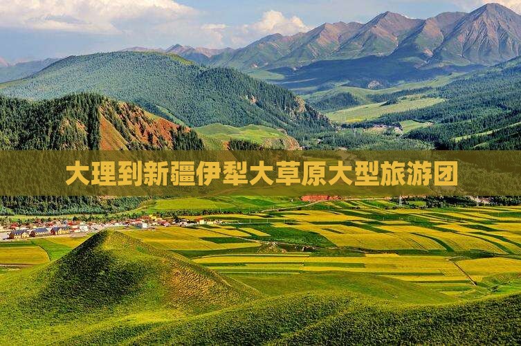 大理到新疆伊犁大草原大型旅游团