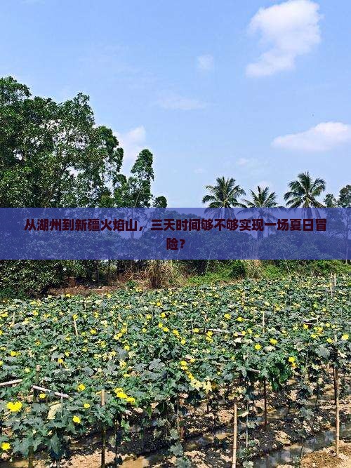 从湖州到新疆火焰山，三天时间够不够实现一场夏日冒险？