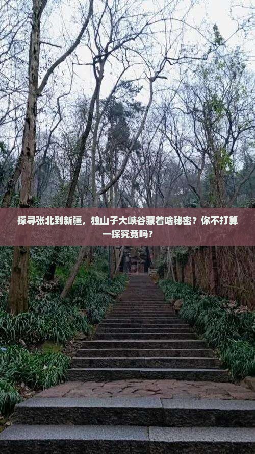 探寻张北到新疆，独山子大峡谷藏着啥秘密？你不打算一探究竟吗？