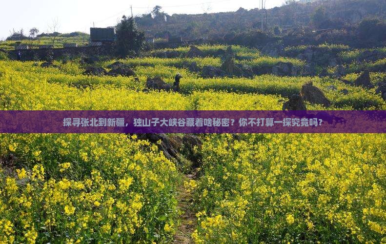 探寻张北到新疆，独山子大峡谷藏着啥秘密？你不打算一探究竟吗？