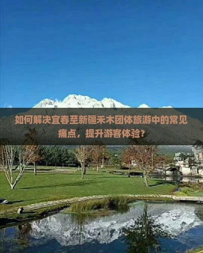 如何解决宜春至新疆禾木团体旅游中的常见痛点，提升游客体验？