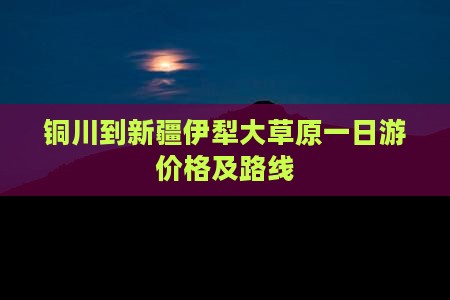 铜川到新疆伊犁大草原一日游价格及路线