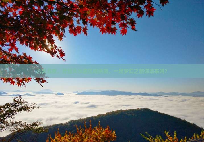 六天五夜，穿越天水遇见喀纳斯，一场梦幻之旅你敢来吗？
