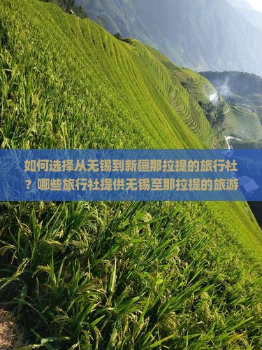 如何选择从无锡到新疆那拉提的旅行社？哪些旅行社提供无锡至那拉提的旅游服务？