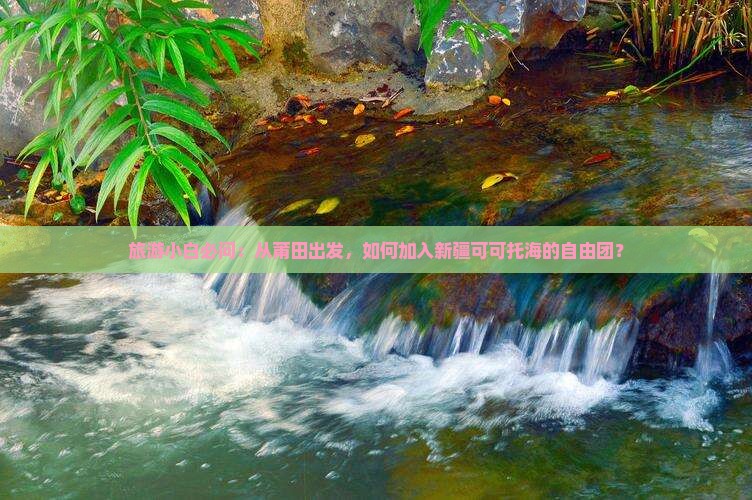 旅游小白必问：从莆田出发，如何加入新疆可可托海的自由团？