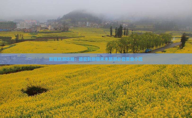 新疆旅游攻略：德宏到新疆禾木旅游必尝美食小吃