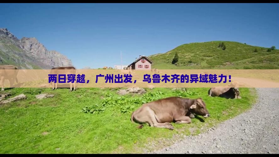 两日穿越，广州出发，乌鲁木齐的异域魅力！