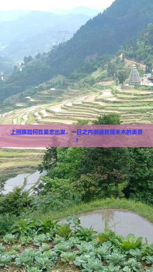 上班族如何在吴忠出发，一日之内游遍新疆禾木的美景？