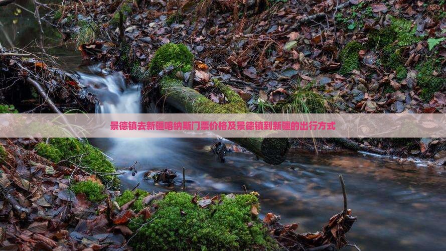 景德镇去新疆喀纳斯门票价格及景德镇到新疆的出行方式