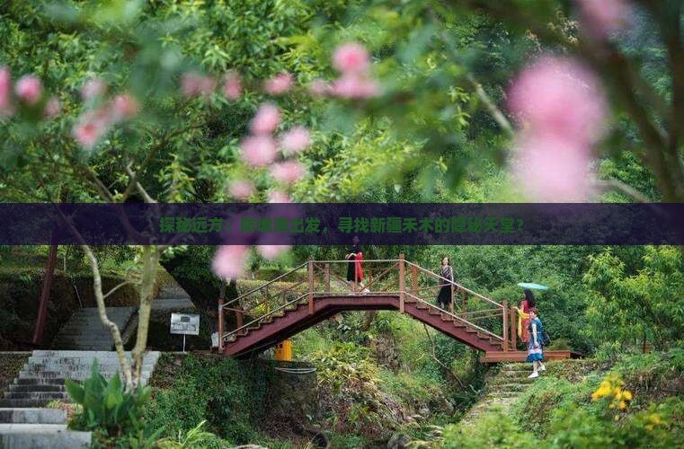 探秘远方：防城港出发，寻找新疆禾木的隐秘天堂？