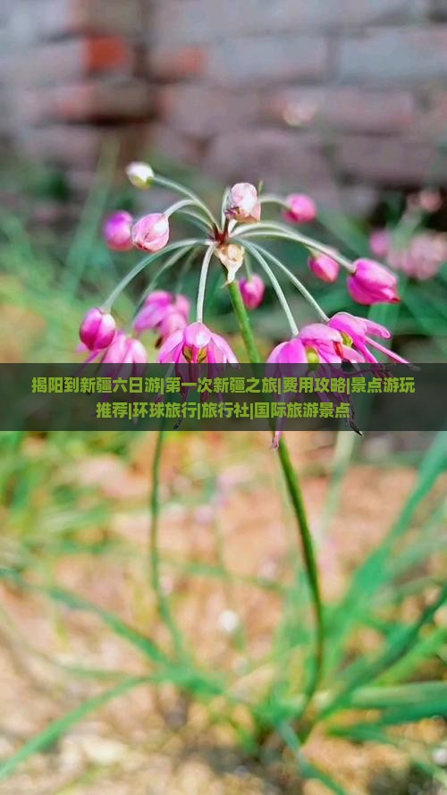 揭阳到新疆六日游|第一次新疆之旅|费用攻略|景点游玩推荐|环球旅行|旅行社|国际旅游景点