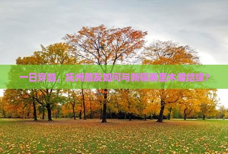 一日穿越，抚州朋友如何与新疆赛里木湖结缘？