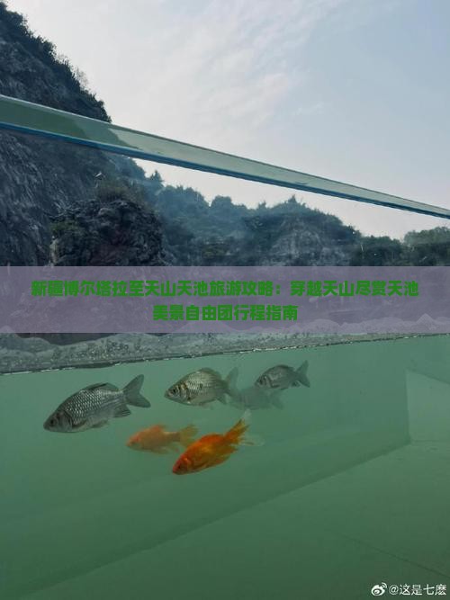新疆博尔塔拉至天山天池旅游攻略：穿越天山尽赏天池美景自由团行程指南