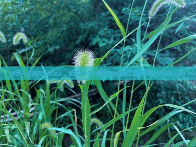 作为一名资深旅行达人，如何用7天时间深度体验通辽至新疆独库公路之美？