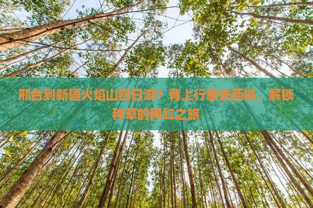 邢台到新疆火焰山四日游？背上行囊去西域，解锁种草的网红之旅