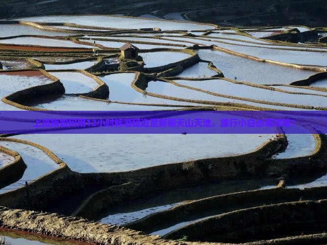 上班族如何用12小时畅游延边至新疆天山天池，旅行小白必看攻略！
