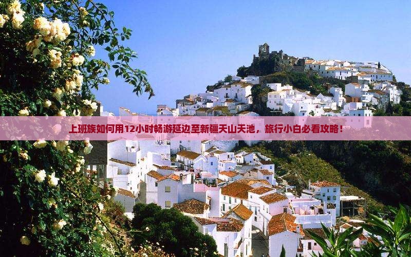 上班族如何用12小时畅游延边至新疆天山天池，旅行小白必看攻略！