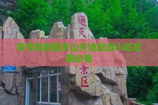 毕节到新疆天山天池旅游小吃攻略必看