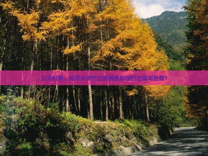 五天时间，如何从济宁出发拥抱新疆的壮丽与热情？