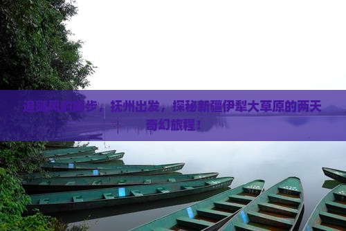 追随风的脚步，抚州出发，探秘新疆伊犁大草原的两天奇幻旅程！