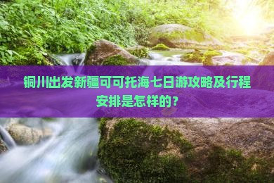 铜川出发新疆可可托海七日游攻略及行程安排是怎样的？