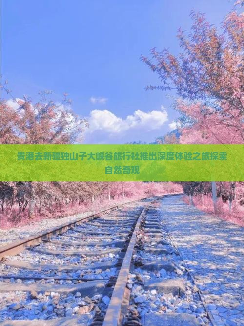 贵港去新疆独山子大峡谷旅行社推出深度体验之旅探索自然奇观