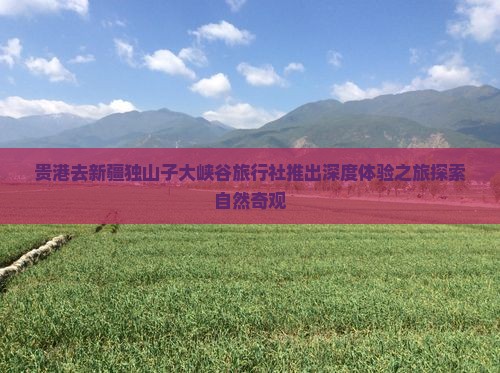 贵港去新疆独山子大峡谷旅行社推出深度体验之旅探索自然奇观