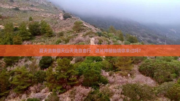 夏天去新疆天山天池自由行，这片神秘仙境你来过吗？