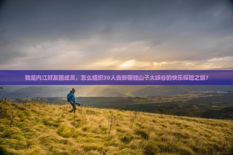 我是内江好友圈成员，怎么组织30人去新疆独山子大峡谷的快乐探险之旅？