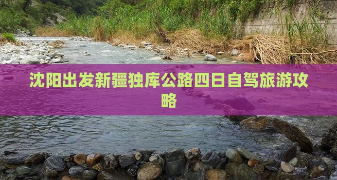 沈阳出发新疆独库公路四日自驾旅游攻略
