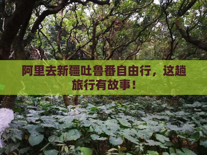 阿里去新疆吐鲁番自由行，这趟旅行有故事！