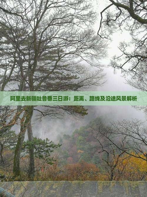 阿里去新疆吐鲁番三日游：距离、路线及沿途风景解析