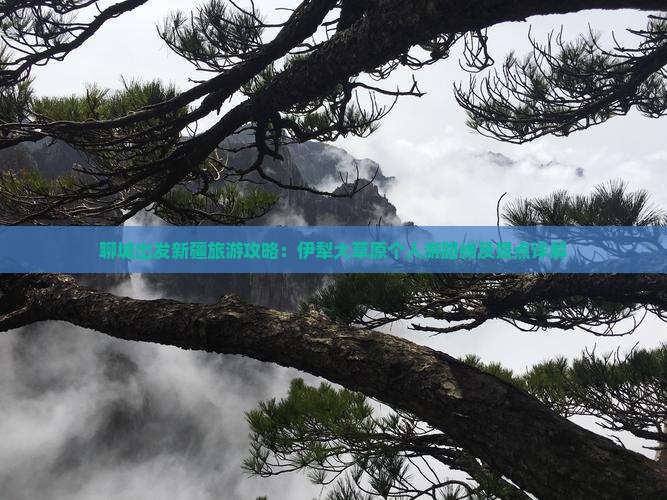 聊城出发新疆旅游攻略：伊犁大草原个人游路线及景点详解