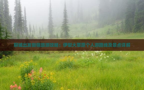 聊城出发新疆旅游攻略：伊犁大草原个人游路线及景点详解