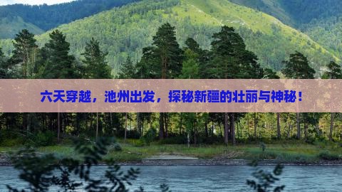 六天穿越,池州出发,探秘新疆的壮丽与神秘! 六天穿越,池州出发,探秘新疆的壮丽与神秘!