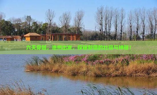六天穿越,池州出发,探秘新疆的壮丽与神秘! 六天穿越,池州出发,探秘新疆的壮丽与神秘!