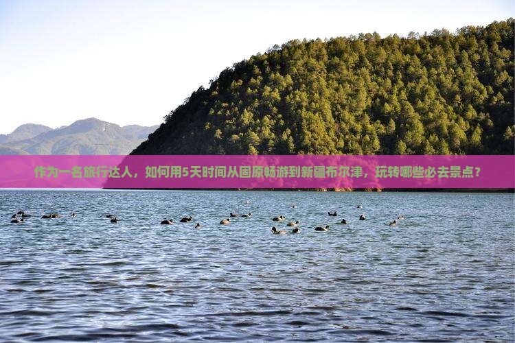 作为一名旅行达人，如何用5天时间从固原畅游到新疆布尔津，玩转哪些必去景点？
