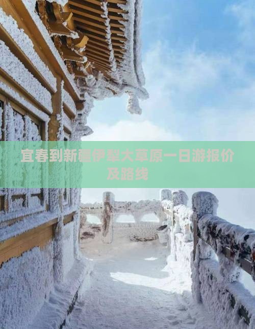 宜春到新疆伊犁大草原一日游报价及路线