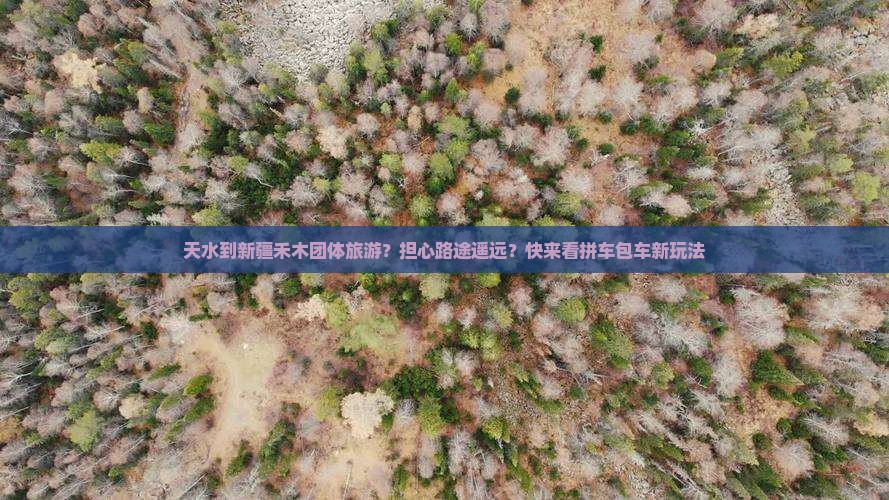 天水到新疆禾木团体旅游？担心路途遥远？快来看拼车包车新玩法