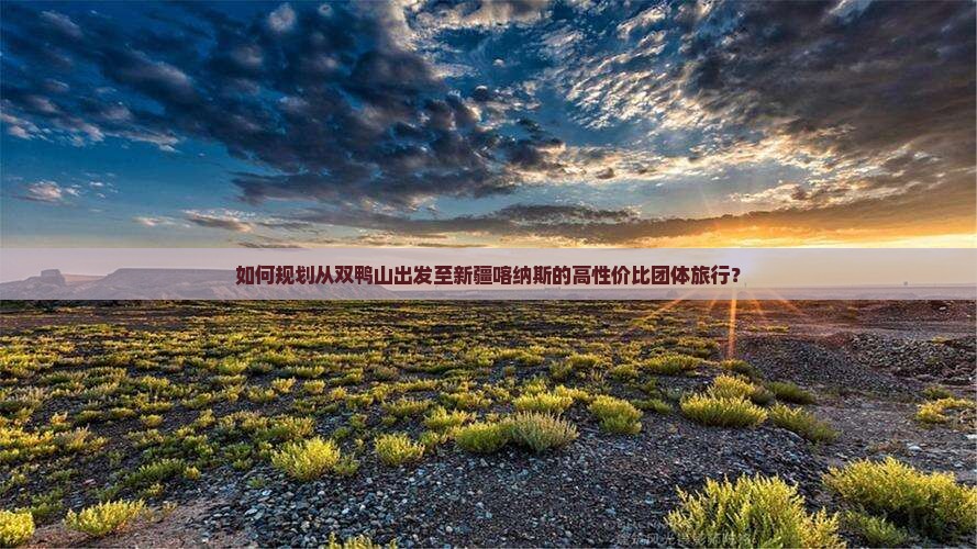 如何规划从双鸭山出发至新疆喀纳斯的高性价比团体旅行？