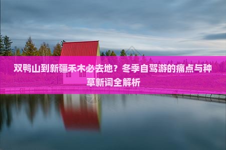 双鸭山到新疆禾木必去地？冬季自驾游的痛点与种草新词全解析