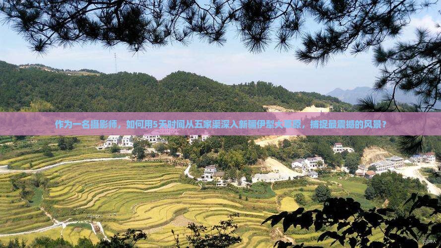 作为一名摄影师，如何用5天时间从五家渠深入新疆伊犁大草原，捕捉最震撼的风景？