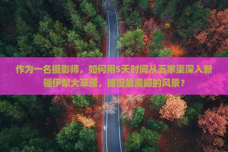 作为一名摄影师，如何用5天时间从五家渠深入新疆伊犁大草原，捕捉最震撼的风景？