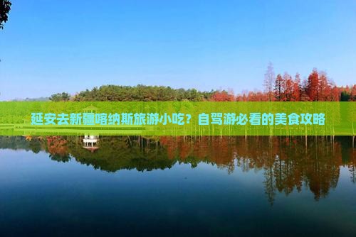 延安去新疆喀纳斯旅游小吃？自驾游必看的美食攻略