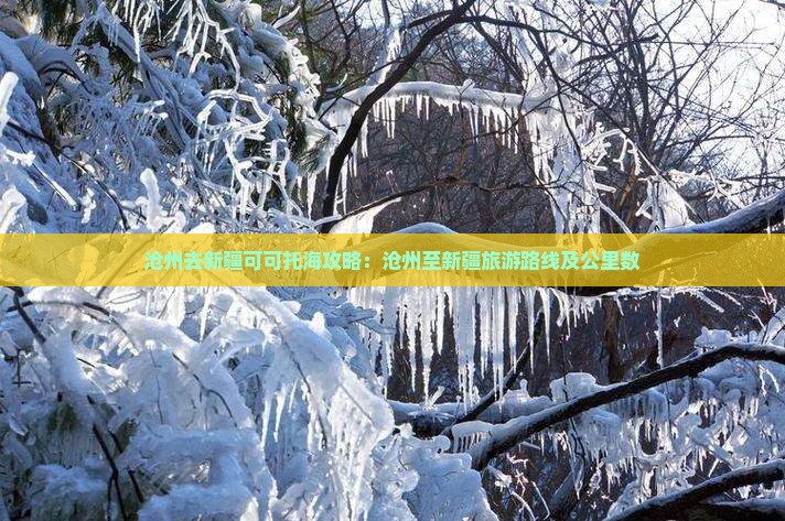 沧州去新疆可可托海攻略：沧州至新疆旅游路线及公里数