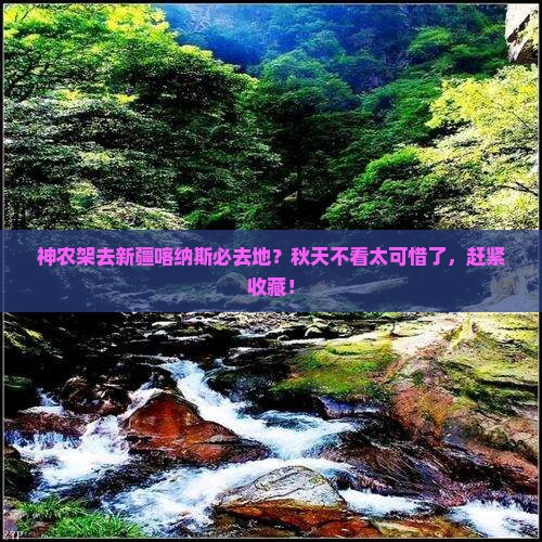 神农架去新疆喀纳斯必去地？秋天不看太可惜了，赶紧收藏！