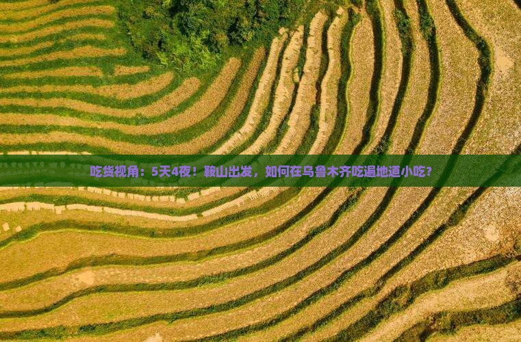 吃货视角：5天4夜！鞍山出发，如何在乌鲁木齐吃遍地道小吃？